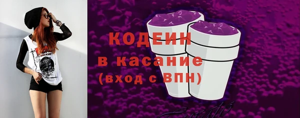 гашик Арсеньев