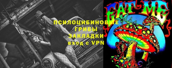 гашик Арсеньев
