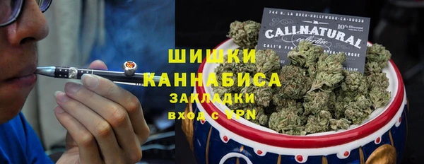 гашик Арсеньев