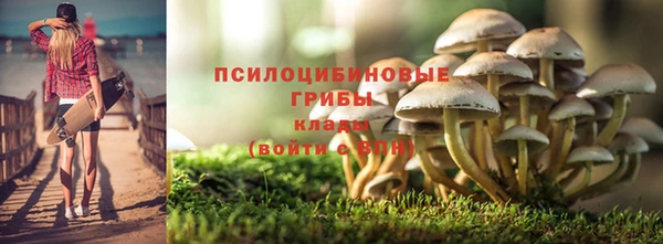a pvp Аркадак