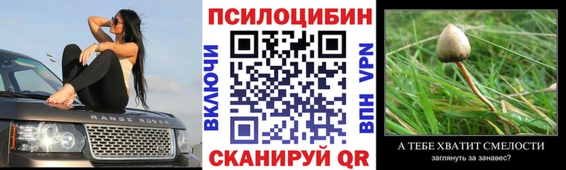 Галлюциногенные грибы Psilocybine cubensis  ссылка на мегу вход  Сольвычегодск  где найти наркотики 